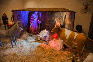 01-ART-Inauguration-crèche-de-Noël-(2)