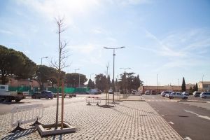 03-ART-Plantation-arbres-parking-des-écoles-2-(3)
