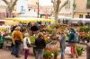03-ART-Vias-Terroir-Fleuri-(7)