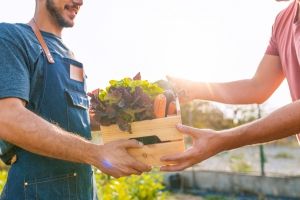 05-COM-Plateforme-Agglo-pour-les-commerces-et-producteurs