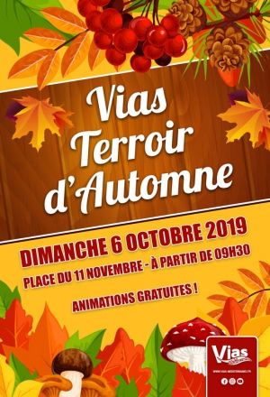 06-VTA-2019-affiche