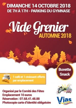 07-COM-vide-grenier