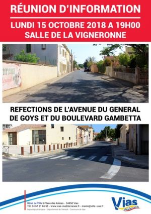 08-COM-Réunion-d'information-Av.-Goys-Bvd.-Gambetta-15