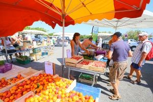 11-COM-Ouverture-marché-des-producteurs-de-pays-saison-2018