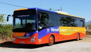 b-car-herault-transport-3