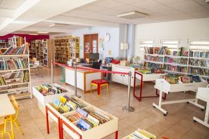 Bibliothèque-web