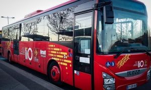 BUS