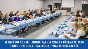 Conseil-Municipal-10-novembre-2020