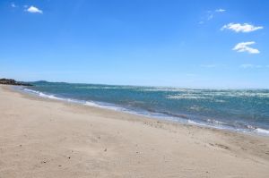 IMG_0518
