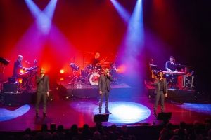 IMG_3431_compresse