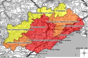 incendie foret 28 aout 2023 