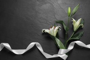 iStock-1653429069