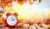 iStock-856275920
