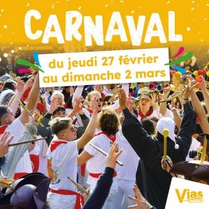 Vignette-site-web-300x300px