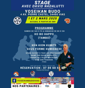 yoseikan budo stage